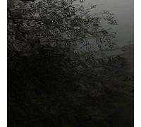 The River - Vessels Into White Tides [Import]