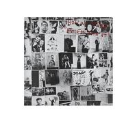 The Rolling Stones - Puzzle Rock Saws Exile On Main St. (500 Pièces)