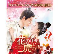 花の都に虎(とら)われて～The Romance of Tiger and Rose～ BOX1 (コンプリート・シンプルDVD-BOX5,000円シリーズ)(期間限定生産)