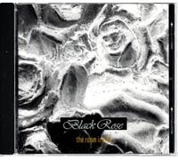 The Room Inside [Import]