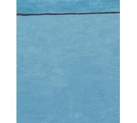 The Room of the Octopus: Loïc Raguénès