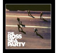 The Ross Sea Party - Plains Of Id EP