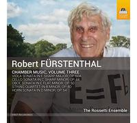 The Rossetti Ensemble - Musica Da Camera, Vol.3