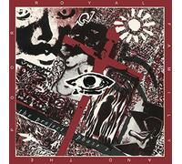 The Royal Family & the Poor - Project Phase 1-Temple of The 13th Tribe