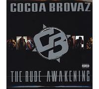 THE RUDE AWAKENING