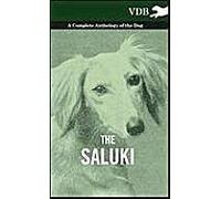 The Saluki - A Complete Anthology Of The Dog