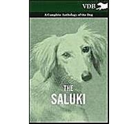 The Saluki - A Complete Anthology Of The Dog