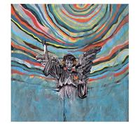 The Same Old Wasted Wonderful World - Vinyle