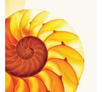 The Samuel Jackson 5 - Easily Misunderstood