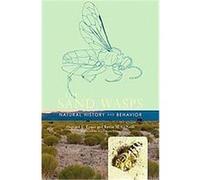 The Sand Wasps Howard Ensign Evans, Kevin M. O'Neill (Auteur)