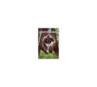 The Sasquatch People And Their Interdimensional Connection