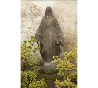 The Savage Saint: “The Divine Rebellion of a Broken Girl Made Whole”