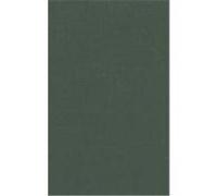 The Scene of Harlem Cabaret: Race, Sexuality, Performance Vogel, Shane (Auteur)