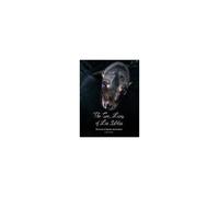 The Sea Lions Of Los Islotes
