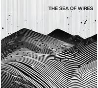 The Sea of Wires