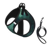 The Sea Witch Ensemble harnais et laisse pour chat et chien, réfléchissant, réglable, anti-fuite, avec maille douce et respirante, pour petits animaux de compagnie et chatons chiots