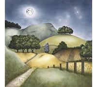 The Second Brightest Star