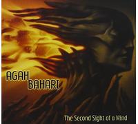 The Second Sight of a Mind