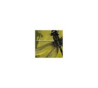 Coheed & Cambria – The Second Stage Turbine Blade – The Orchard