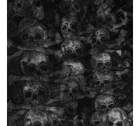 The Secret - Agnus Dei [Import allemand]