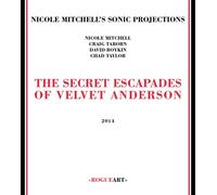 The Secret Escapades Of Velvet Anderson