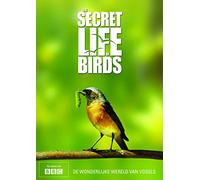 Secret Life Of Birds - Nl