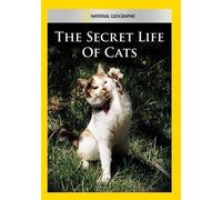 National Geographic – Secret Life of Cats
