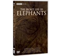 The Secret Life of Elephants [Import anglais]