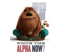 The Secret Life of Pets (Alpha 60 x 80 cm Toile Imprimée