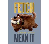 The Secret Life of Pets (Fetch 60 x 80 cm Toile Imprimée