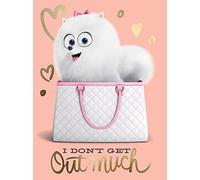 The Secret Life of Pets (I Don't Get Out Much 60 x 80 cm Toile Imprimée