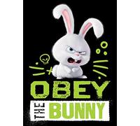 The Secret Life of Pets WDC99694 Toile Imprimée, Multicolore, 60 x 80 x 3.2 cm