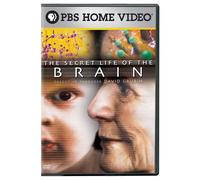 The Secret Life Of The Brain