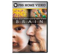 The Secret Life of the Brain