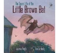 The Secret Life Of The Little Brown Bat