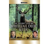 The Secret Life of Whitetail Deer and Elk