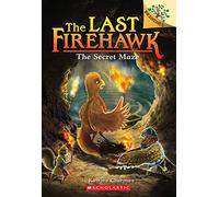 The Secret Maze: A Branches Book (The Last Firehawk #10) (Volume 10)