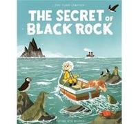 The Secret of Black Rock by Joe Todd Stanton Inconnu (Auteur)
