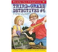 The Secret of the Green Skin, Third-Grade Detectives George Edward Stanley (Auteur)