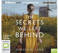 The Secrets We Left Behind