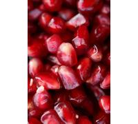 The Seed of Life: From the Darkness of the Earth to the Light of Consciousness