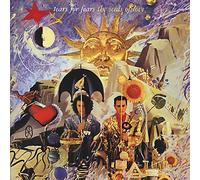 Tears For Fears – The Seeds Of Love – Mercury