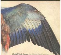 The Self Help Group - Not Waving, But Drowning [Import]