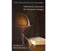 The Semantics of Analogy Joshua P. Hochschild (Auteur)