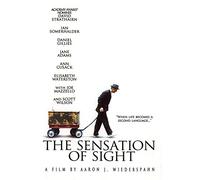 The Sensation of Sight