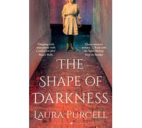 The Shape of Darkness: 'A future gothic classic' Martyn Waites