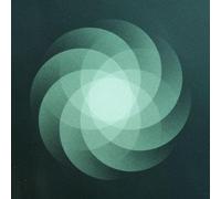 The Shape Of Everything - Vinyle 33 Tours