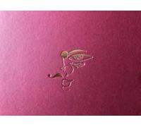 The Shape Of Self. Trans Identity In West Bengal. Ediz. Italiana E Inglese