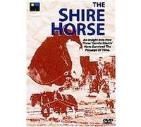 The Shire Horse G
