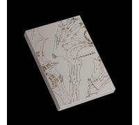 ENHYPEN – The Sin : Vanish – CD – Version Afterlight – Édition limitée